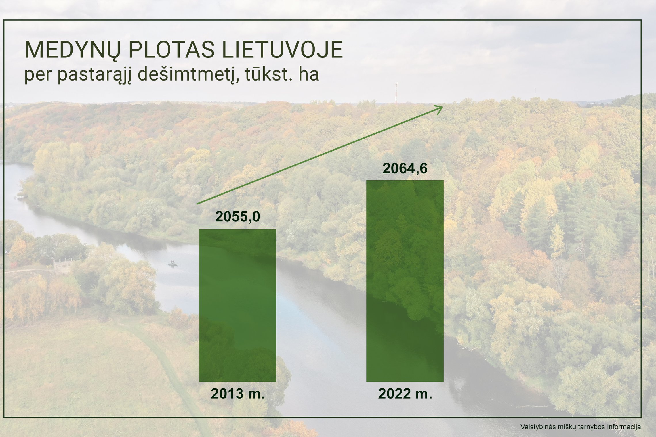Medynų plotas Lietuvoje didėja