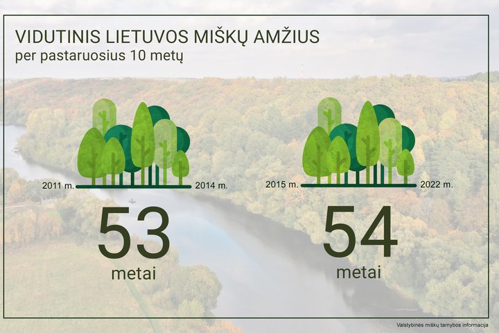 Vidutinis medynų amžius Lietuvoje