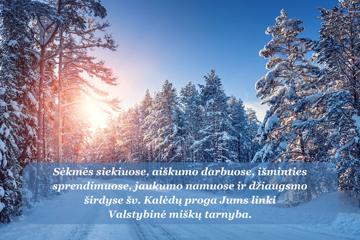 Žiema miške. Asociatyvi nuotrauka