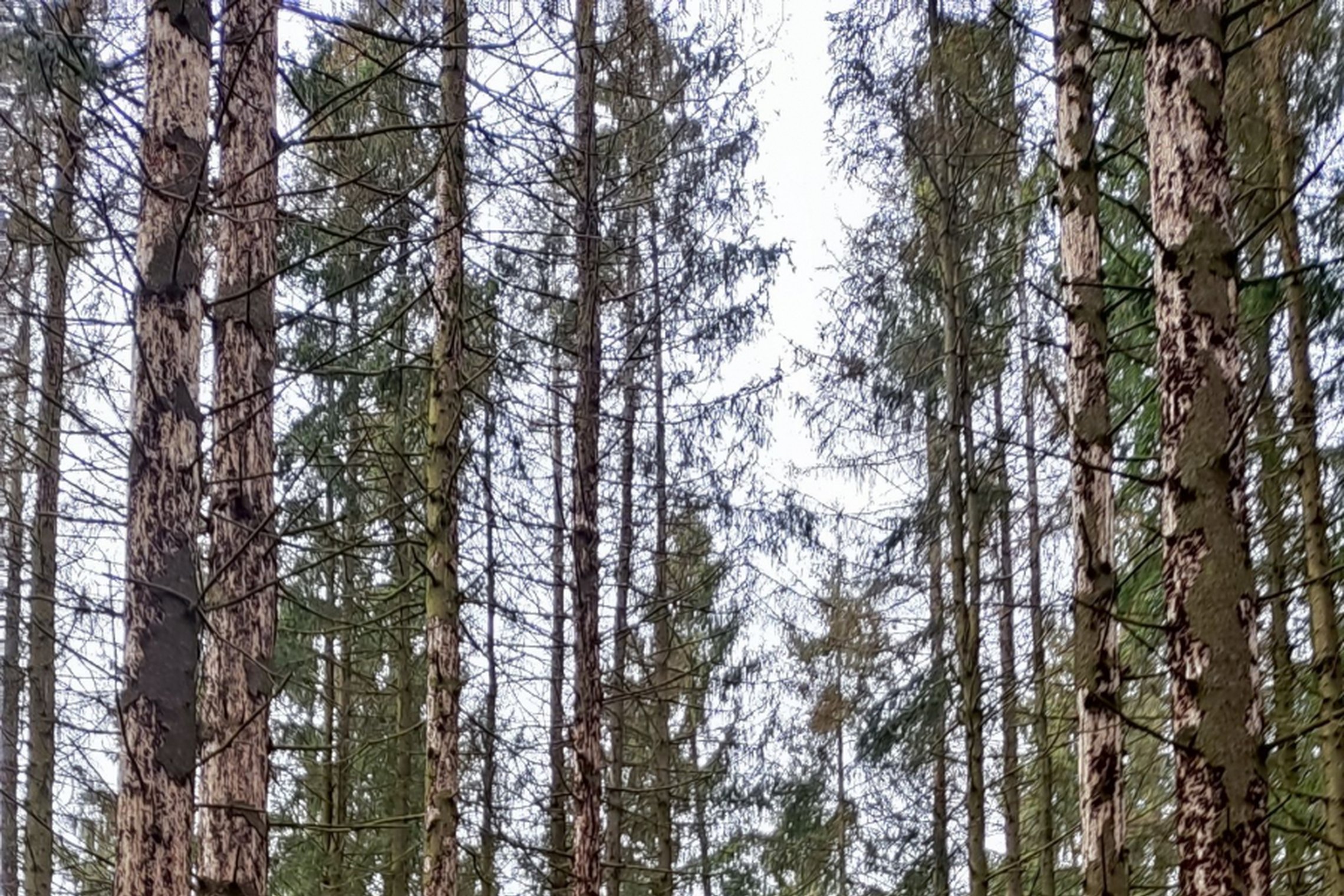252