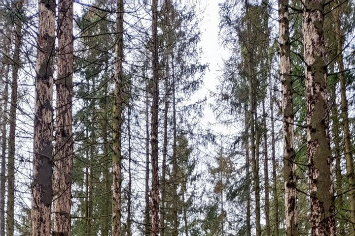 252