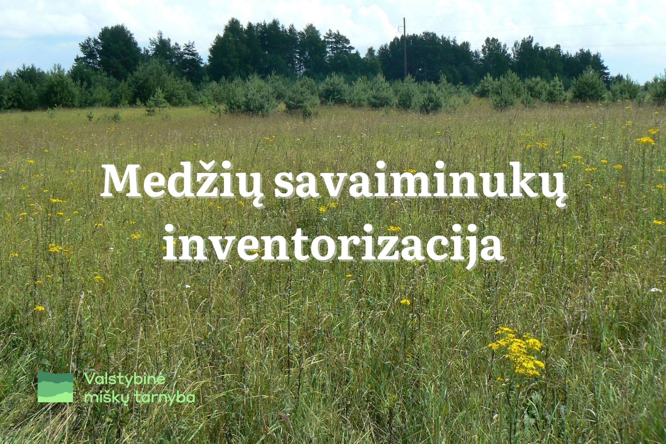 Iliustracija