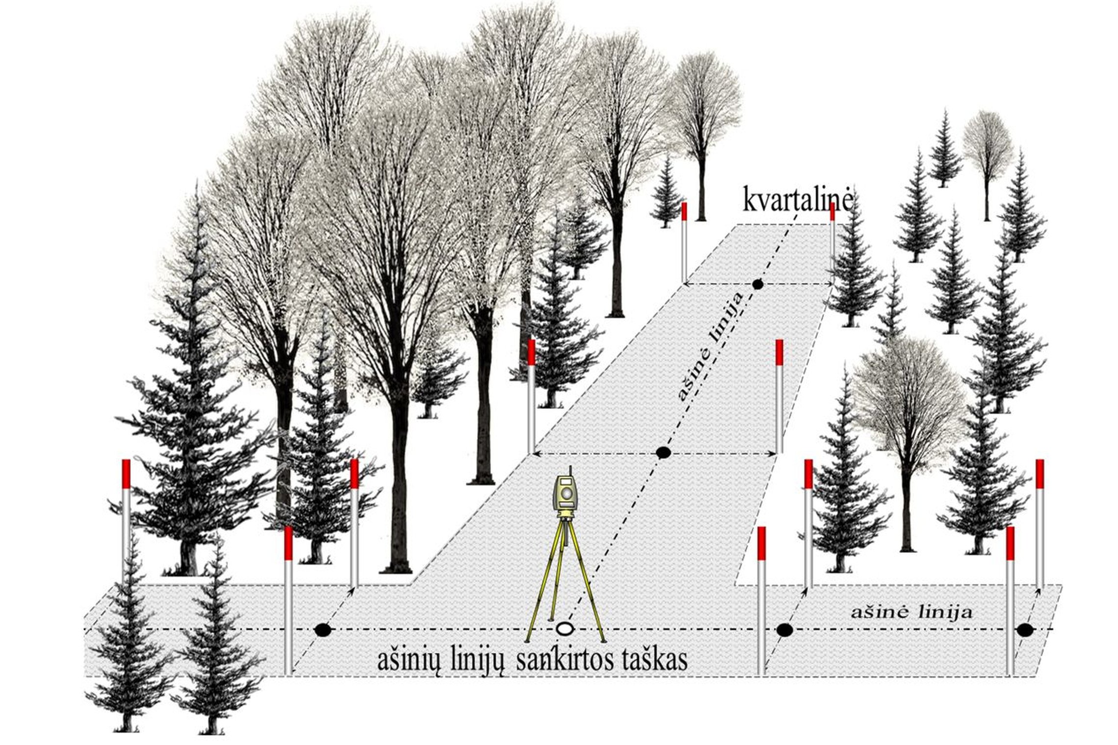 Iliustracija