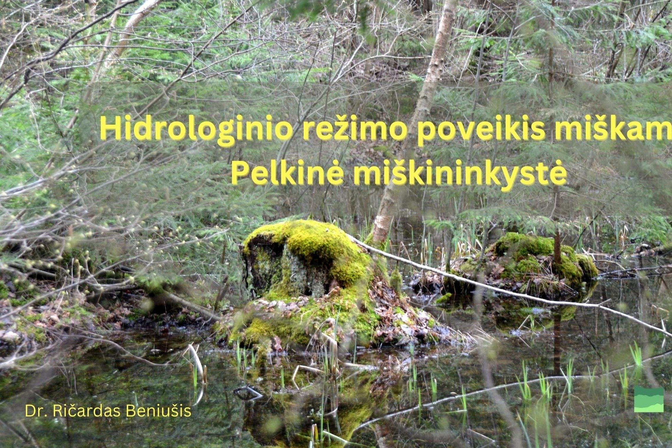 Iliustracija