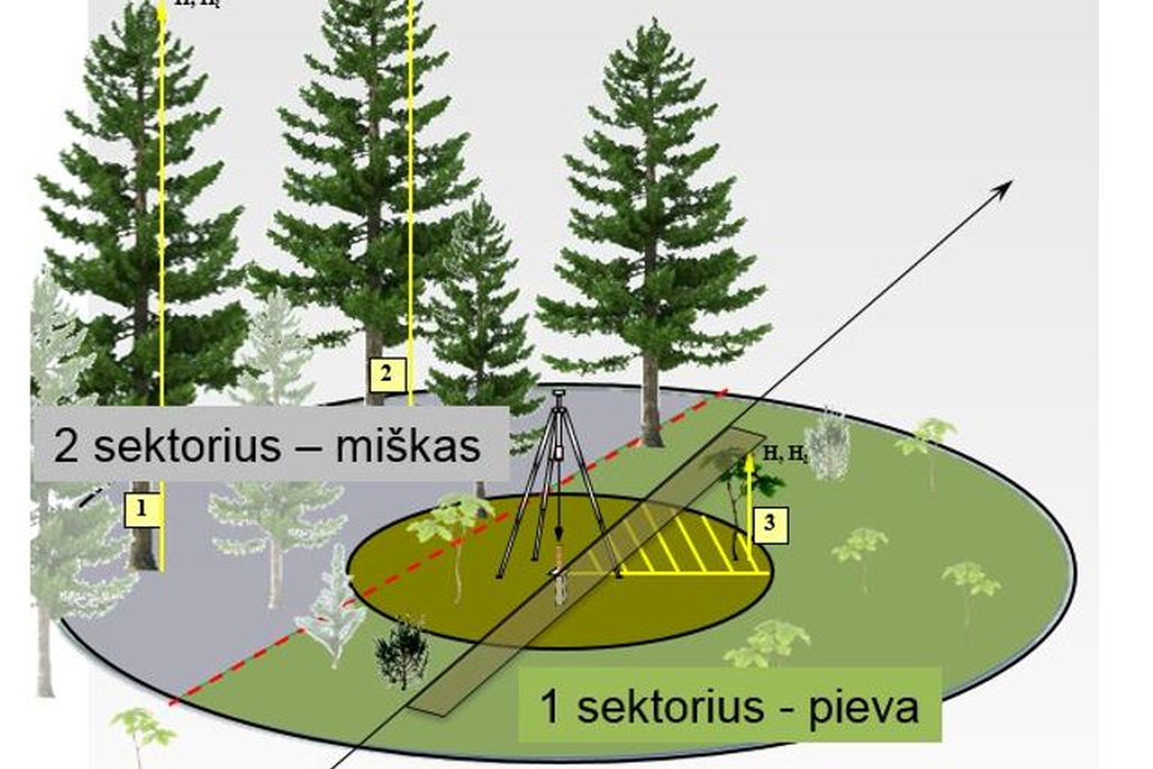 Iliustracija