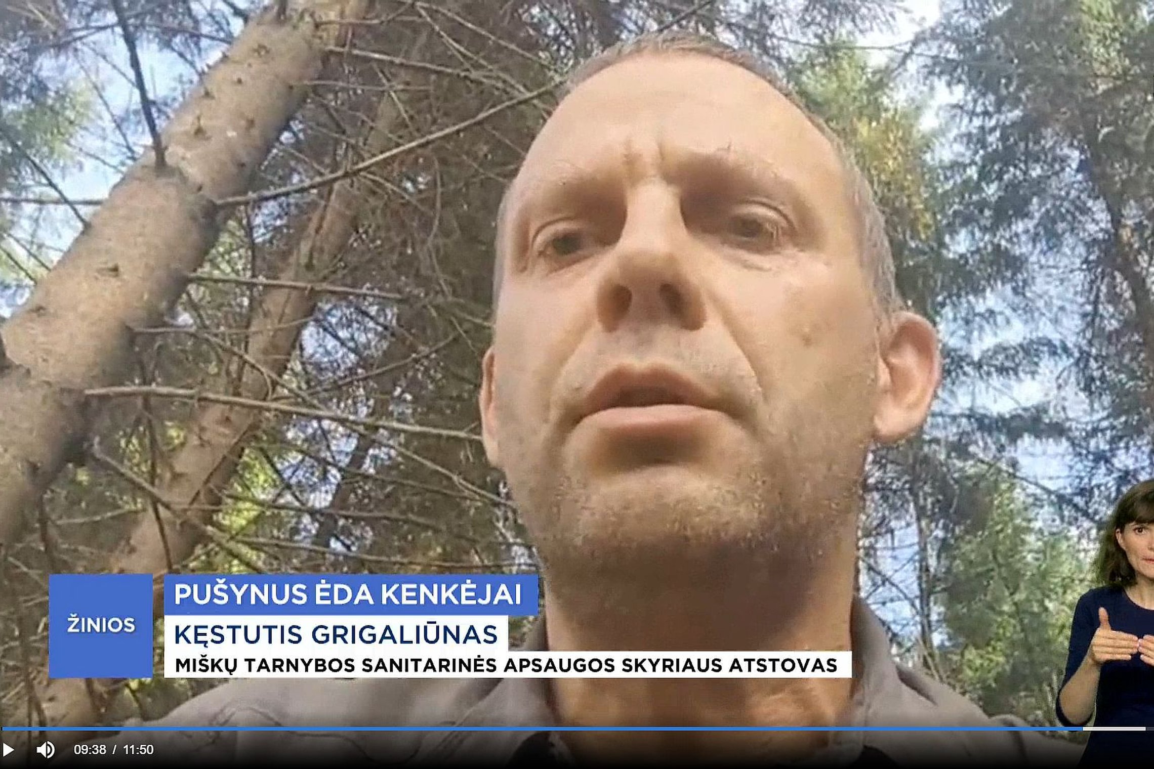 LRT reportaže tarnybos atstovas Kęstutis Grigaliūnas pasakojo apie Ignalinos miškus apnikusius kenkėjus.