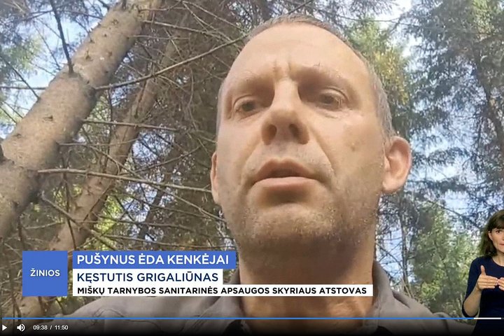 LRT reportaže tarnybos atstovas Kęstutis Grigaliūnas pasakojo apie Ignalinos miškus apnikusius kenkėjus.