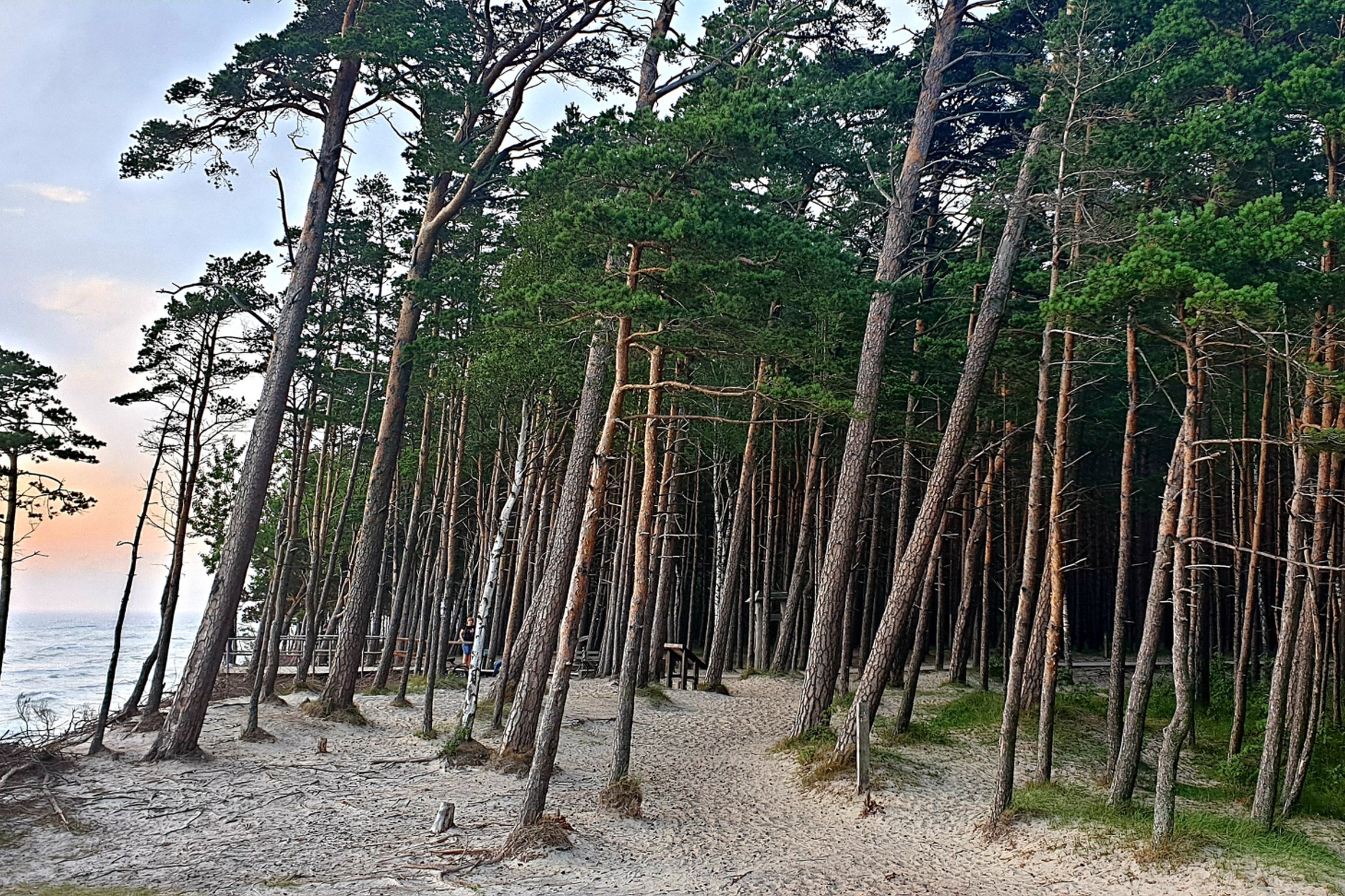 Iliustracija