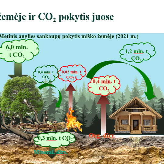 Iliustracija "Anglies kaupikliai miško žemėje ir CO2 pokytis juose"