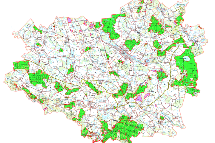 Paveikslėlyje pavaizduota Širvintų rajono savivaldybės valstybinės reikšmės miškų plotų schemos projektas M1:50000