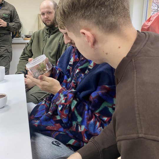 Studentai tyrinėjantys vabalus