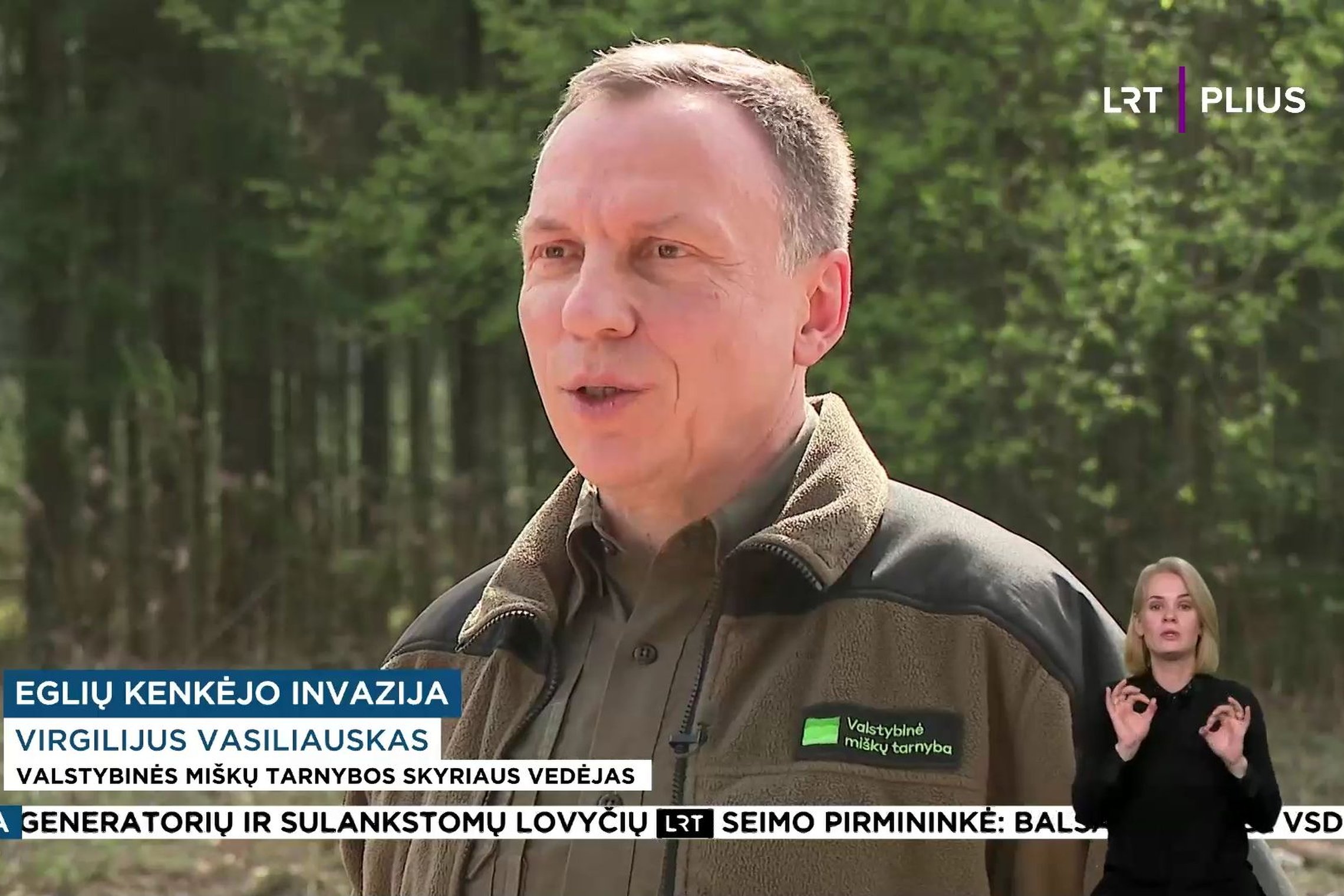 Iliustracija