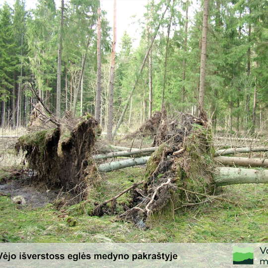 Iliustracija