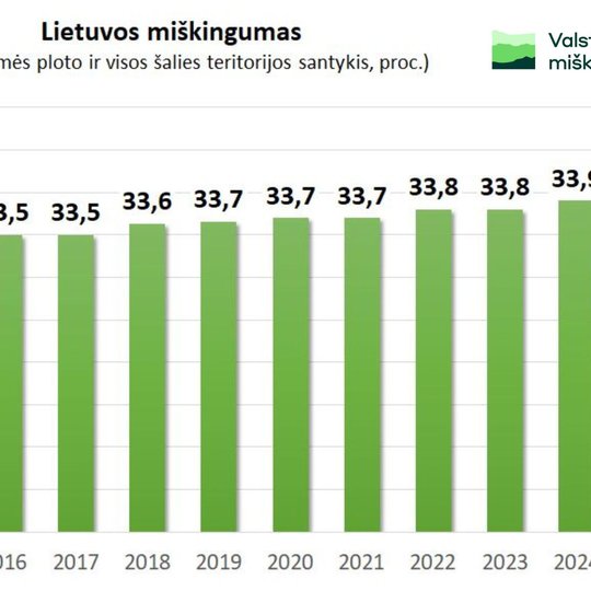 Iliustracija