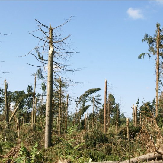 Iliustracija