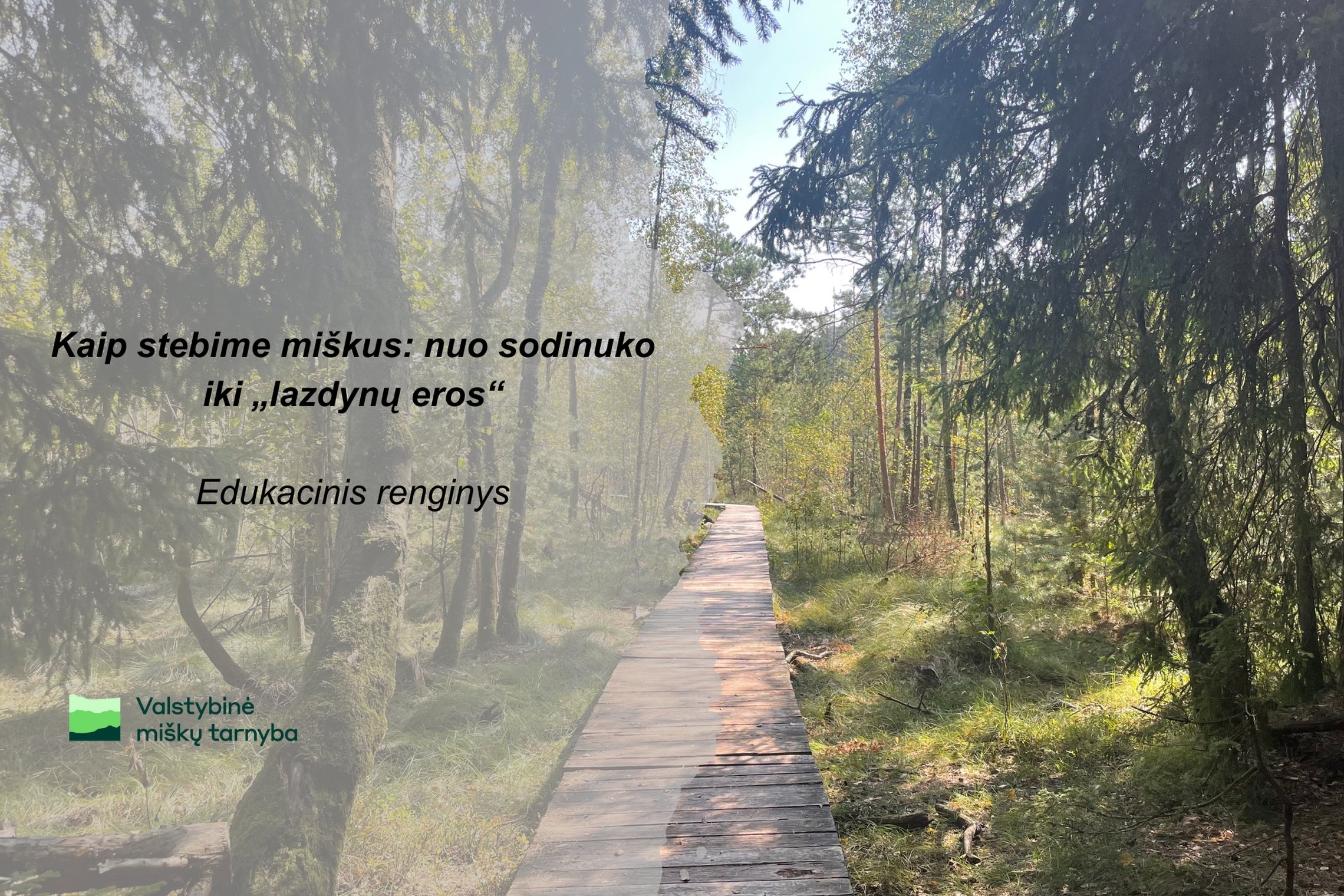 Iliustracija
