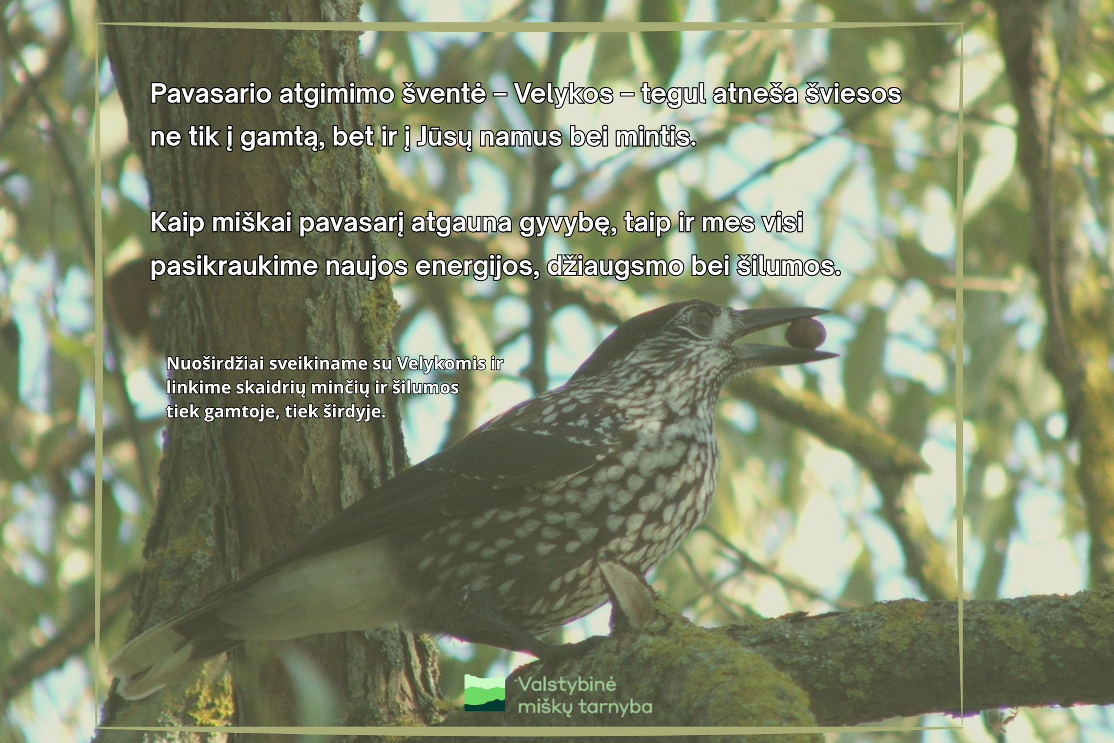 Iliustracija