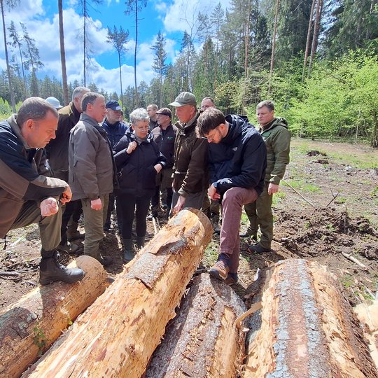 Prienų regioninio padalinio miško apžiūra