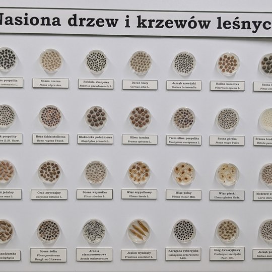 Iliustracija