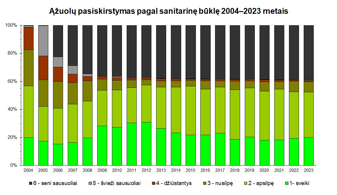 Ąžuolų pasiskirstymas pagal buklę 2023 metais