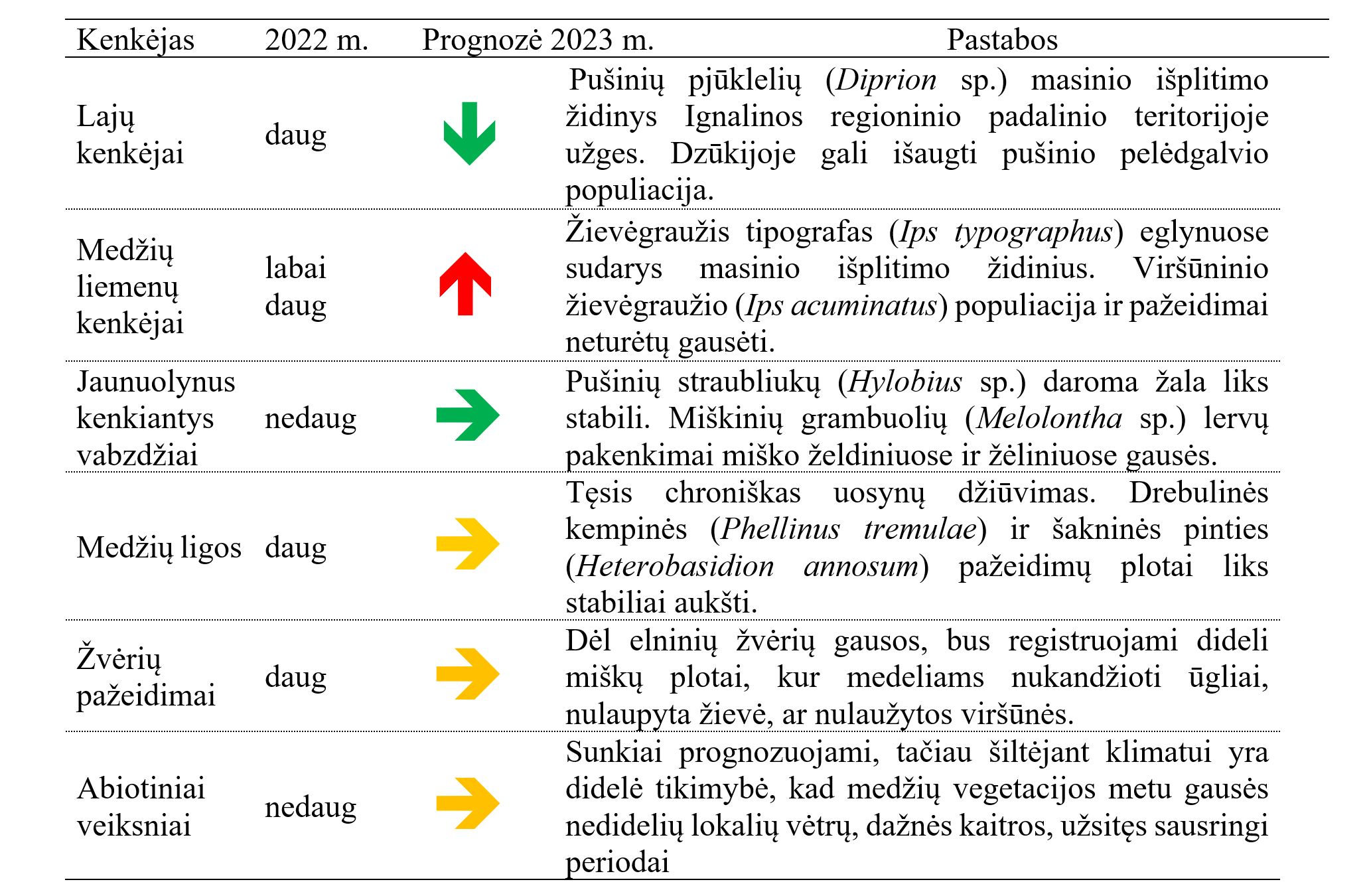 naujienai_metine.jpg
