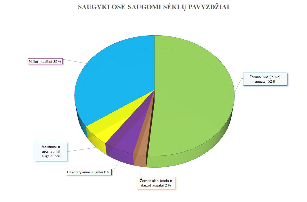 Seklos_saugyklose_20241209.jpg