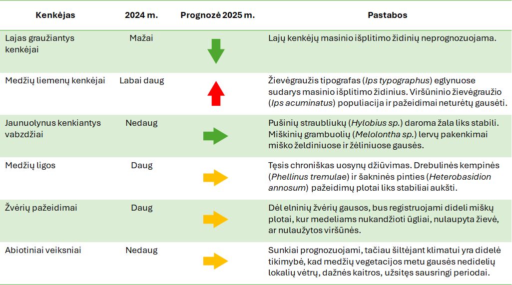 20250310_MSAS_apzvalga.jpg