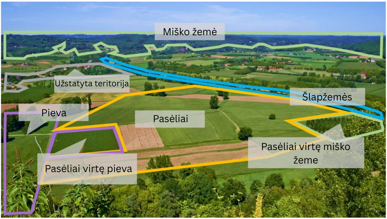 ŽNŽNKM pavyzdys.png